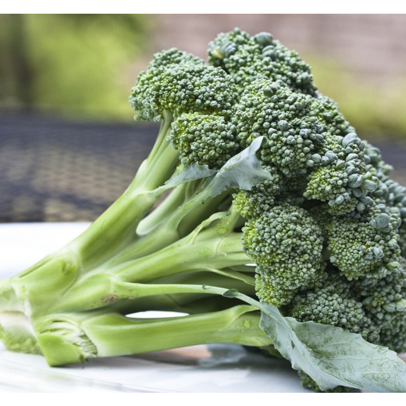 Broccoli (ব্রোকলি) per piece - 600 gram to 950 gram