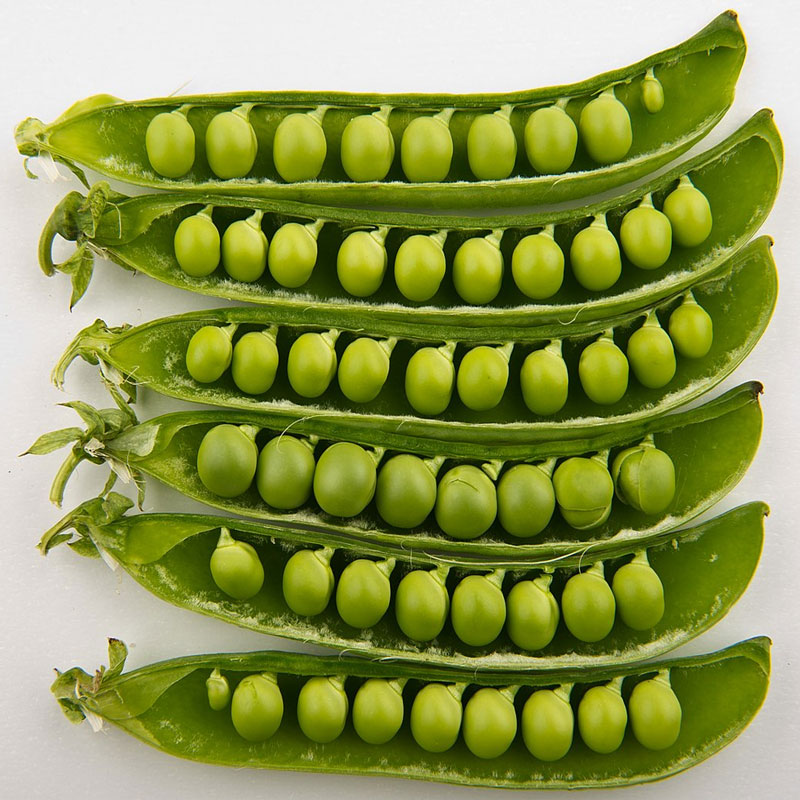 Green Pea (মটরশুটি) - 500 gram