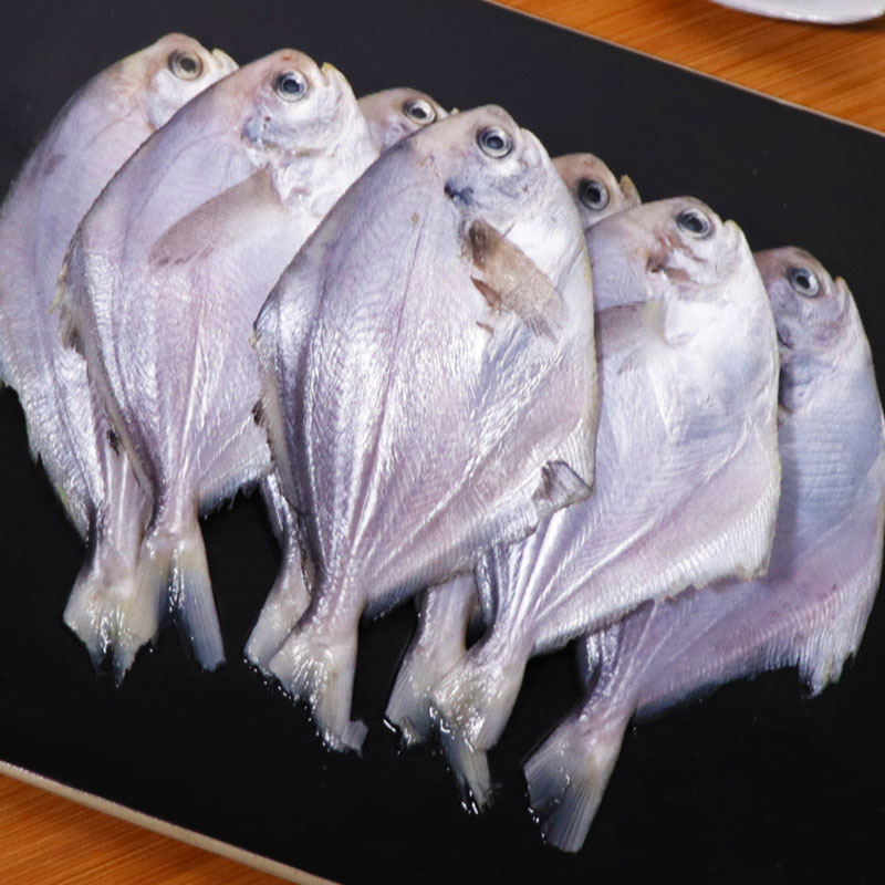 small pomfret fish