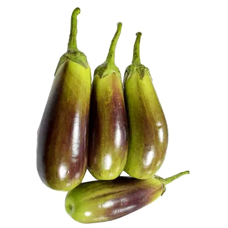 Brinjal (বেগুন) Purple / Green - 500 gram