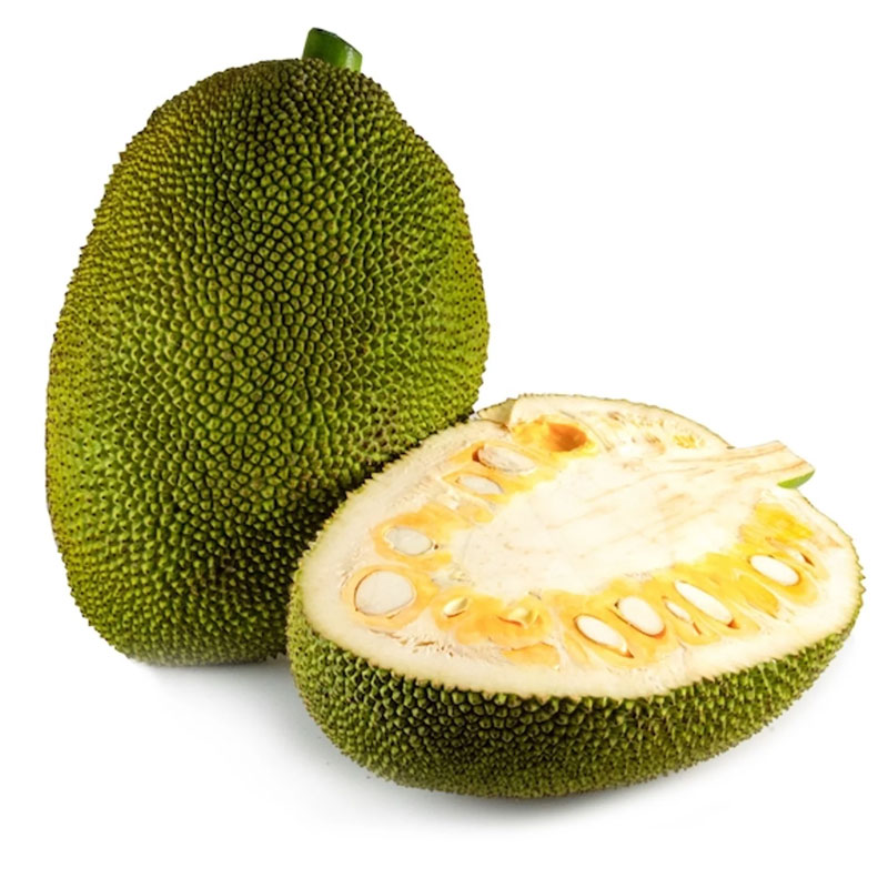 Green Jackfruit (কাঁচা কাঁঠাল) - 1.5 KG to 2.5 KG a piece