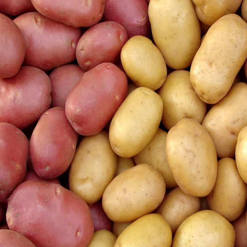 Potato আলু - 1 KG