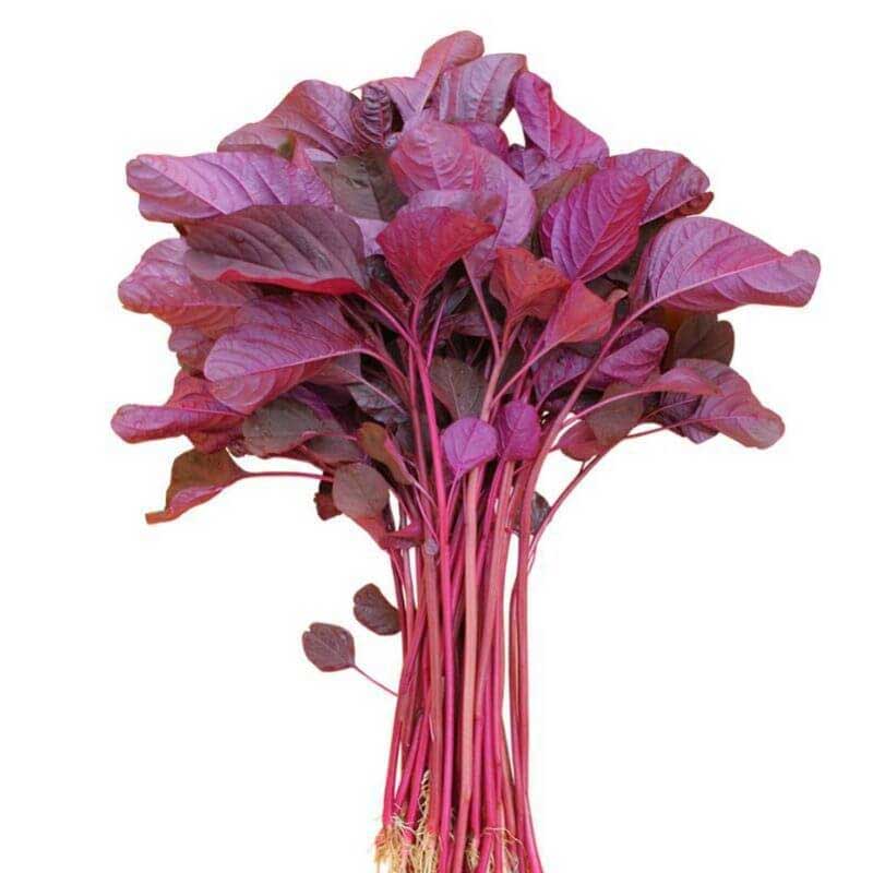 Red Amaranth spinach / Lal Shak - 3 Bunches