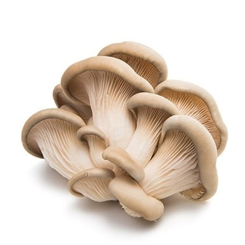 Oyster Mushroom - 200 gram