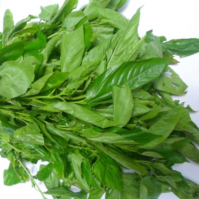 Jute leaves / পাট শাক - 2 Bundles (About 350 gram each)