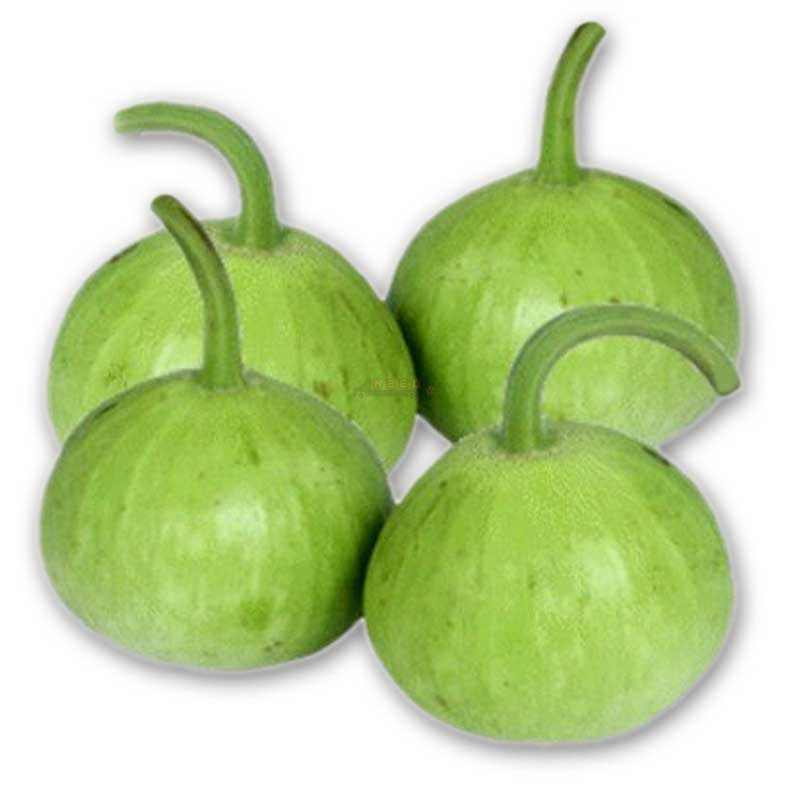 Round Small Bottle gourd / ছোট গোল লাউ / छोटा गोल लौकी - 1 Piece small size (1 to 1.5 KG)